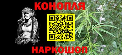 jwh Аргун