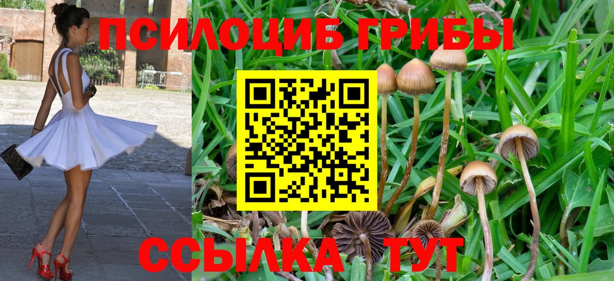Псилоцибиновые грибы ЛСД  Псилоцибиновые грибы Psilocybine cubensis  Вход с VPN  Аргун 